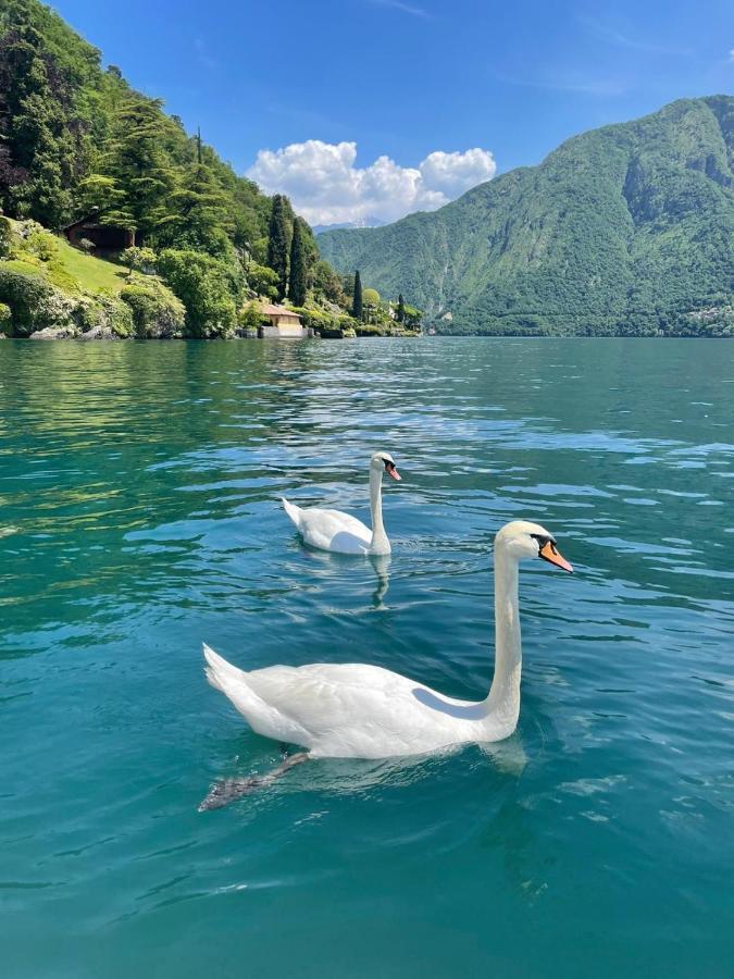 Casacamelia 35, 3 Bdrm With View Lake Como Apartment Acquaseria Екстериор снимка